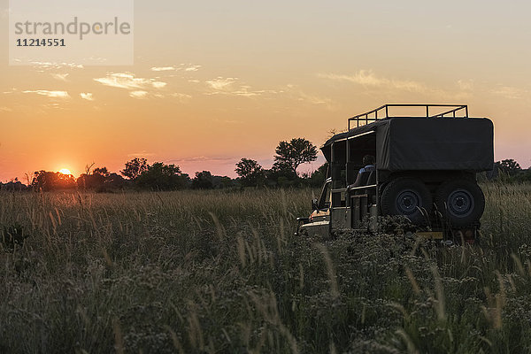 Safari-Truck bei Sonnenuntergang im Gras; Botswana'.