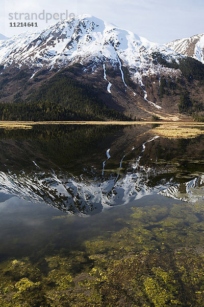 Spätfrühlingslandschaft des Tern Lake mit Spiegelung der schneebedeckten Kenai Mountains  Kenai-Halbinsel  Süd-Zentral-Alaska  USA