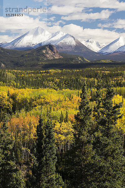 Herbstliche Aussicht auf die schneebedeckten Berge Alaskas und die Herbstfarben  Denali-Nationalpark  Inner-Alaska  USA
