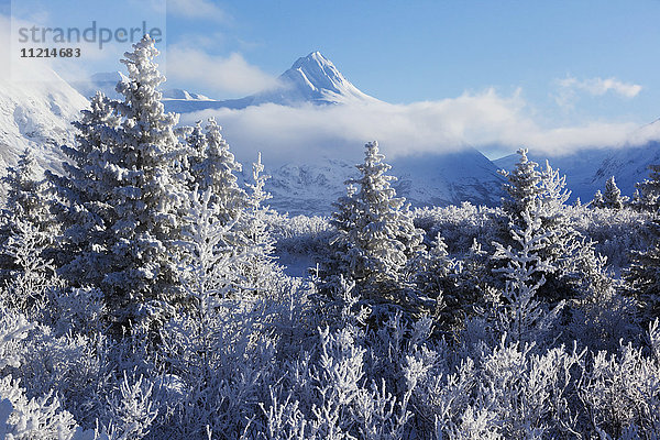 Winterlandschaft von Bard Peak und frostigen Bäumen in Portage Valley  Süd-Zentral-Alaska  USA