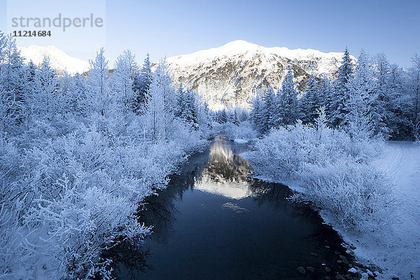 Winterlandschaft  die sich in einem Bach spiegelt  Portage Valley  Southcentral Alaska  USA