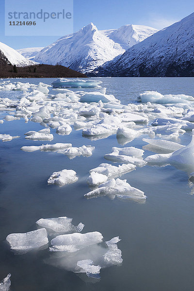 Eisbrocken auf dem Portage Lake während des Frühjahrsaufbruchs  Portage Valley  Süd-Zentral-Alaska  USA