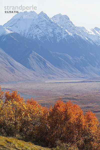 Polychrome Pass  Denali National Park and Preserve  Inneres Alaska im Herbst; Alaska  Vereinigte Staaten von Amerika'.