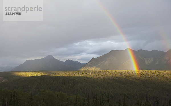 Ein Regenbogen leuchtet hell über den Bergen östlich von Palmer im Sommer  Süd-Zentral-Alaska; Alaska  Vereinigte Staaten von Amerika'.