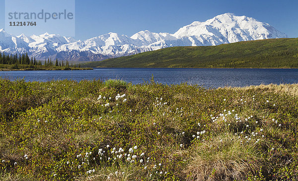 Denali National Park and Preserve im Inneren Alaskas im Sommer  Mount McKinley und Alaska Range mit blauem Teich im Vordergrund; Alaska  Vereinigte Staaten von Amerika'.