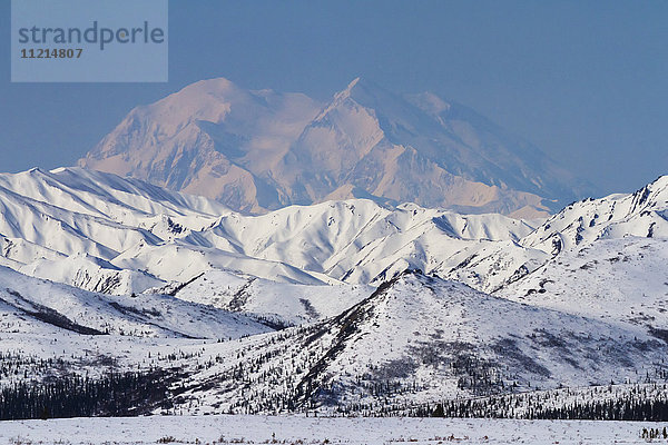Mount McKinley und Ausläufer der Alaska Range  Denali National Park and Preserve  Interior Alaska; Alaska  Vereinigte Staaten von Amerika'.