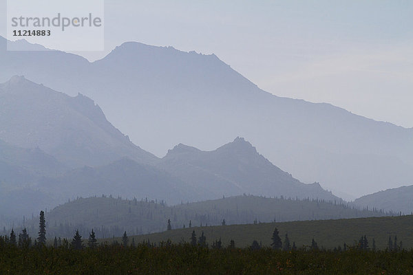 Eine Bergszene  aufgenommen von der Parkstraße in der Nähe des Teklanika Campground  Denali National Park and Preserve  Alaska im Sommer; Alaska  Vereinigte Staaten von Amerika'.