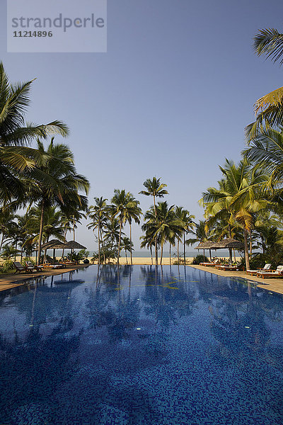 Palmengesäumtes Schwimmbad mit Meerblick