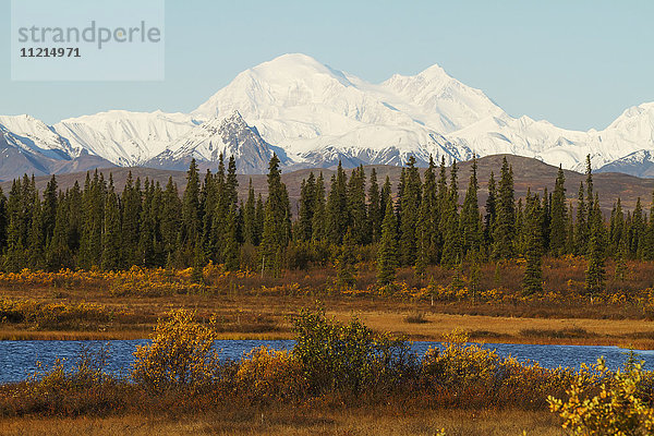 Denali überragt einen kleinen Teich und Fichten im Herbst im Inneren Alaskas  Blick vom Parks Highway südlich von Cantwell; Alaska  Vereinigte Staaten von Amerika'.