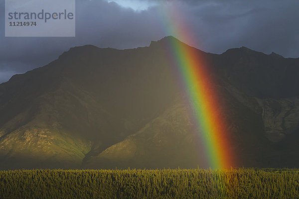 Ein Regenbogen leuchtet hell  östlich von Palmer in der Sommerzeit; Alaska  Vereinigte Staaten von Amerika'.