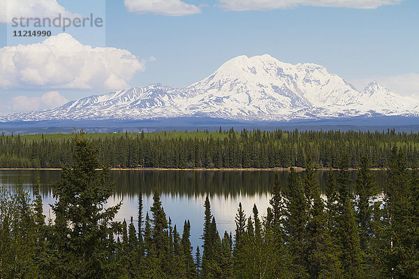 Blick auf den Mount Drum der Wrangell Mountain Range vom Highway nach Valdez im Frühling  Süd-Zentral-Alaska; Alaska  Vereinigte Staaten von Amerika'.