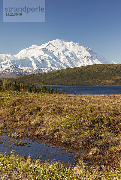 Ansicht von Denali und Alaska Range  Denali National Park and Preserve  Inneres Alaska; Alaska  Vereinigte Staaten von Amerika'.