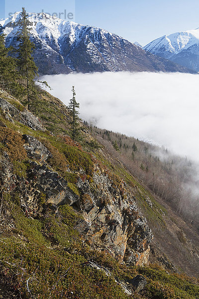Über dem Nebel in den Chugach Mountains in der Nähe von Meile 104 des Seward Highway  Süd-Zentral-Alaska im Winter; Alaska  Vereinigte Staaten von Amerika'.