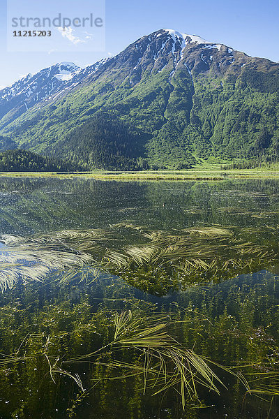 Tern Lake in der Nähe der Kreuzung der Highways nach Seward und nach Homer  Kenai-Halbinsel  Sommerzeit; Alaska  Vereinigte Staaten von Amerika'.