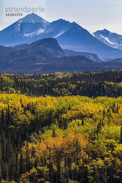 Herbstfarben im Denali National Park and Preserve  von der Park Road in der Nähe der Parkverwaltung aus gesehen; Alaska  Vereinigte Staaten von Amerika'.