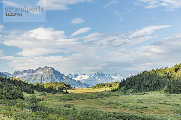 Das üppig grüne Tal des Turnagain Pass in den Kenai Mountains an einem teilweise bewölkten Tag  gesehen vom Seward Highway  Süd-Zentral-Alaska; Anchorage  Alaska  Vereinigte Staaten von Amerika'.