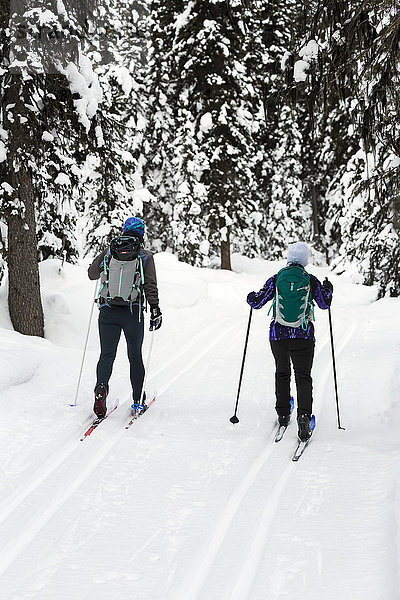 Skilangläuferinnen auf gespurter Loipe mit schneebedeckten Bäumen; Lake Louise  Alberta  Kanada'.