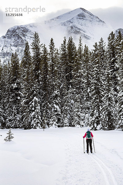 Skilangläuferin auf gespurter Loipe mit schneebedeckten Bäumen; Lake Louise  Alberta  Kanada'.
