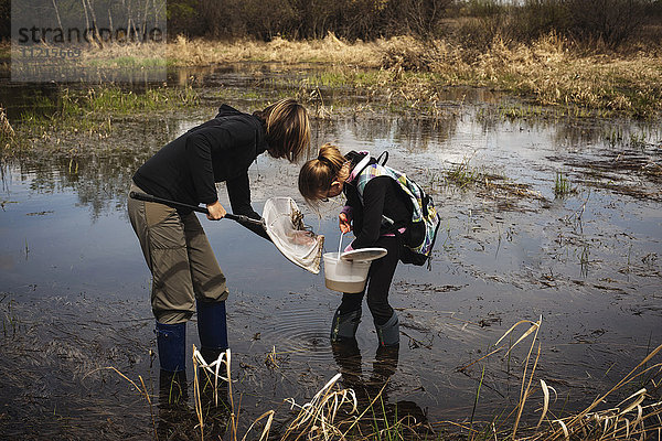 Mutter und Tochter in einem Teich mit Gummistiefeln  die einen Eimer und ein Netz halten  um Lebewesen im Wasser zu fangen; Saskatchewan  Kanada'.