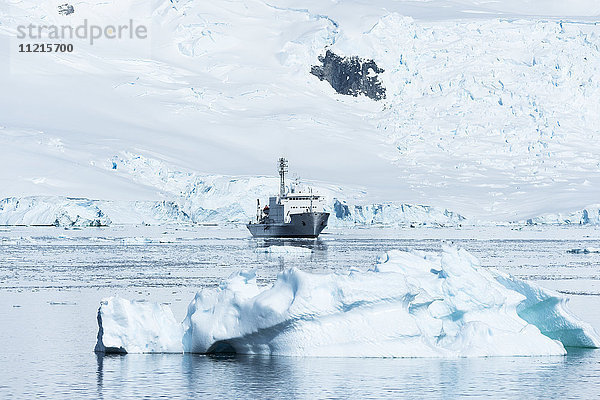 Ein Kreuzfahrtschiff im Hafen von Neko; Antarktis'.