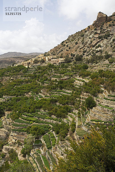 Berglandschaft mit Dorf und terrassierten Rosenfeldern