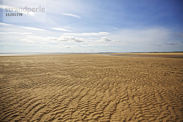 Wassergekräuselter  geriffelter Sand am Ufer des Dornoch Firth