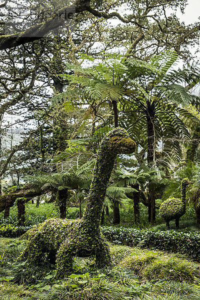 Terra Nostra Botanical Park; Furnas  Sao Miguel  Azoren  Portugal'.