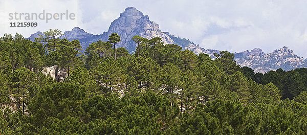 Die Gipfel und Wälder des Alta Rocca-Gebirges