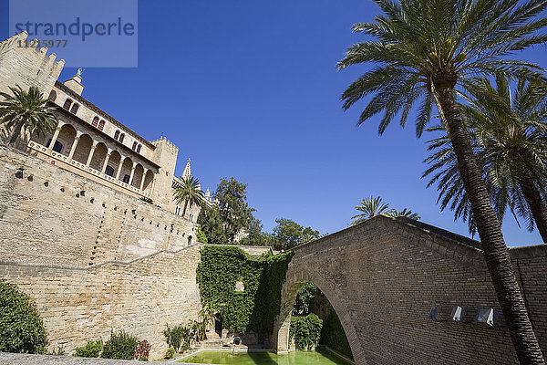 Außenansicht der Kathedrale von Palma de Mallorca mit Palmen