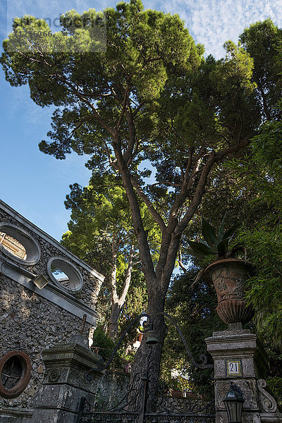 Architektonisches Detail in der Stadt Capri  eine Steinmauer mit kreisrunden Öffnungen im oberen Bereich sowie ein Zaun mit Zierpfosten; Capri  Kampanien  Italien