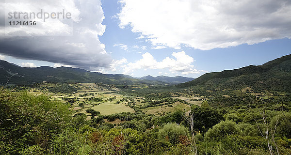 Berglandschaft und Macchia in der Region Alta Rocca auf Korsika