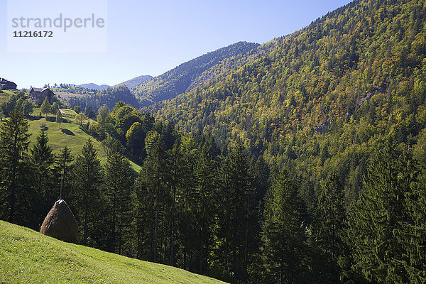 Ländliche Landschaft mit hügeligen grünen Feldern  Heuschobern und Wald