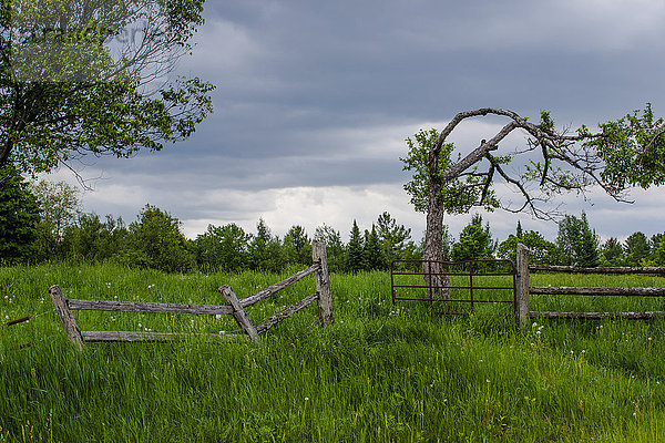 Alter Zaun und rostiges Tor an einem bewölkten  grauen Tag; Brome  Quebec  Kanada'.