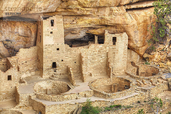 Anasazi-Ruinen  Cliff Palace  Mesa Verde National Park; Colorado  Vereinigte Staaten von Amerika'.