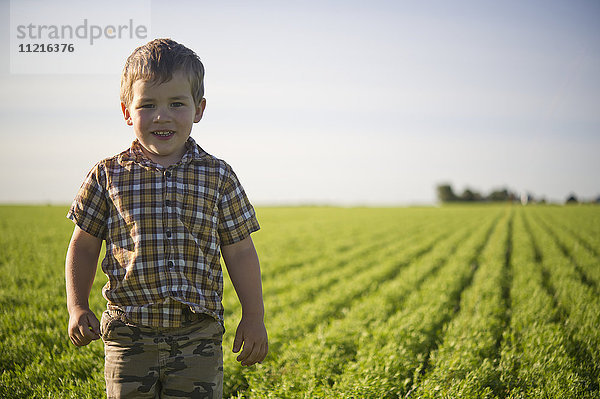 Junge steht im Sommer auf einem Farmfeld; Saskatchewan  Kanada'.