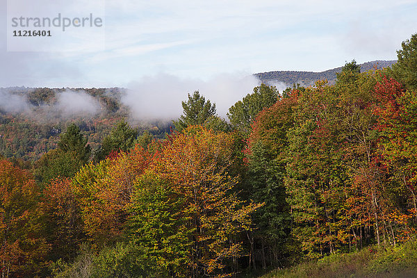 Nebeliger Morgen im Herbst; Waterbury  Vermont  Vereinigte Staaten von Amerika'.