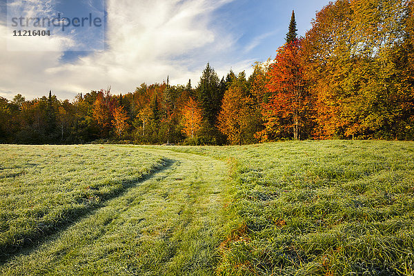 Herbstlich gefärbte Bäume und ein Grasfeld mit einem ausgetretenen Pfad; Waterbury  Vermont  Vereinigte Staaten von Amerika'.