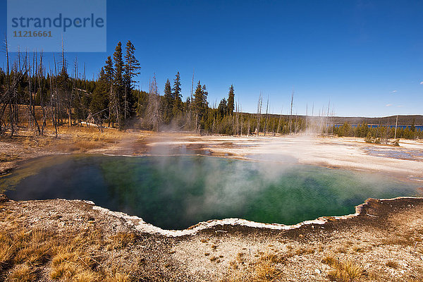 Heiße Quellen im Yellowstone-Nationalpark; Wyoming  Vereinigte Staaten von Amerika'.