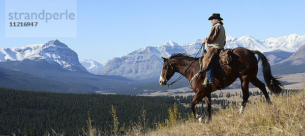 Cowboyreiten mit Blick auf die Rocky Mountains  Ya-Ha-Tinda Ranch  Clearwater County; Alberta  Kanada'.
