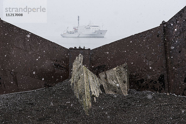 Altes Holzboot  das während eines Schneesturms am Ufer einer Walfangstation mit einem Kreuzfahrtschiff im Wasser liegt; Deception Island  South Shetlands  Antarktis