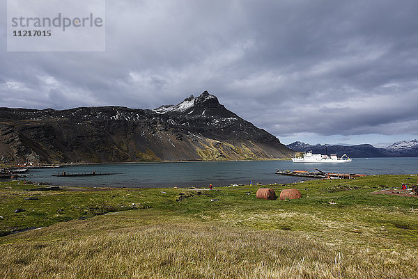 Kreuzfahrtschiff im Hafen von Grytviken; Grytviken  Südgeorgien  Südgeorgien und die Südlichen Sandwichinseln  Vereinigtes Königreich