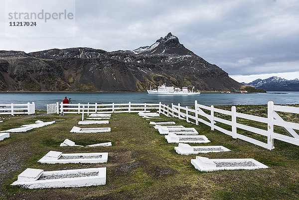 Friedhof entlang der Küste mit einem Kreuzfahrtschiff im Hafen; Grytviken  Südgeorgien  Südgeorgien und die Südlichen Sandwichinseln  Vereinigtes Königreich