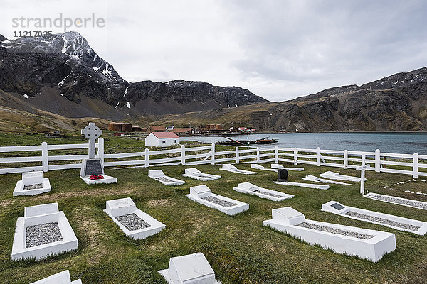 Friedhof am Hafen; Grytviken  Südgeorgien  Südgeorgien und die Südlichen Sandwichinseln  Vereinigtes Königreich