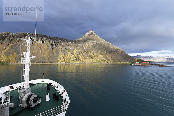 Kreuzfahrtschiff im ruhigen Hafen von Grytviken; Grytviken  Südgeorgien  Südgeorgien und die Südlichen Sandwichinseln  Vereinigtes Königreich