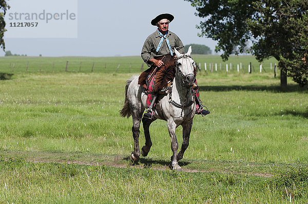 Gaucho auf einem Pferd; Argentinien
