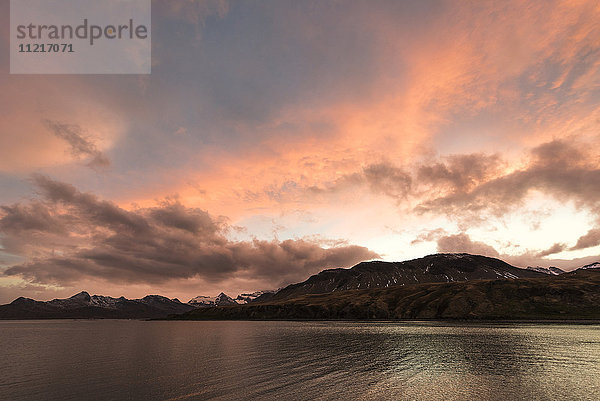 Glühende Wolken bei Sonnenuntergang mit Pinguinen am Ufer; Grytviken  Südgeorgien  Südgeorgien und die Südlichen Sandwichinseln  Vereinigtes Königreich'.