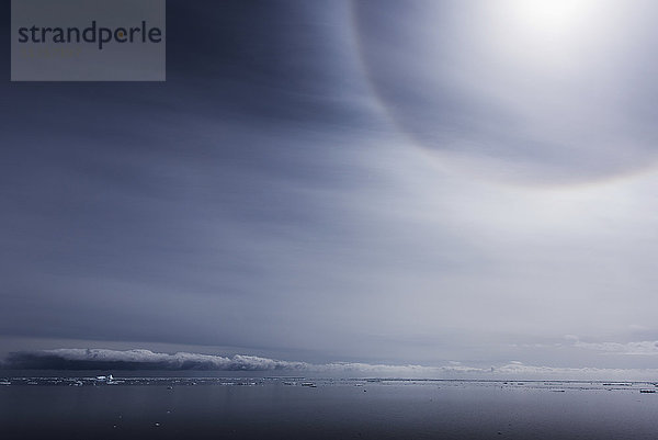Wolkenformation über dem Horizont und Meer vom Strand aus gesehen; Antarktis'.