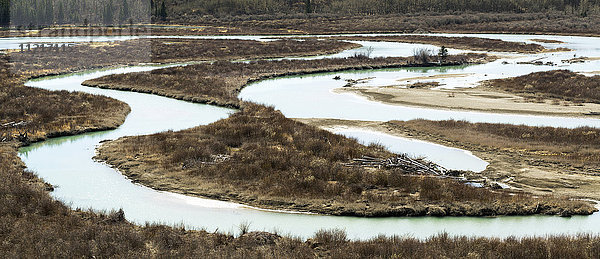 S-Kurven eines Flussdeltas mit braunem Busch im Spätherbst; Calgary  Alberta  Kanada'.