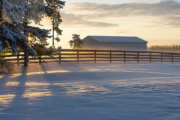 Wintersonnenaufgang auf einer Ranch; Cremona  Alberta  Kanada'.