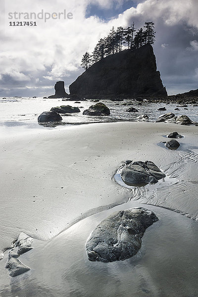 Felsen am Second Beach  Olympic National Park; Washington  Vereinigte Staaten von Amerika'.